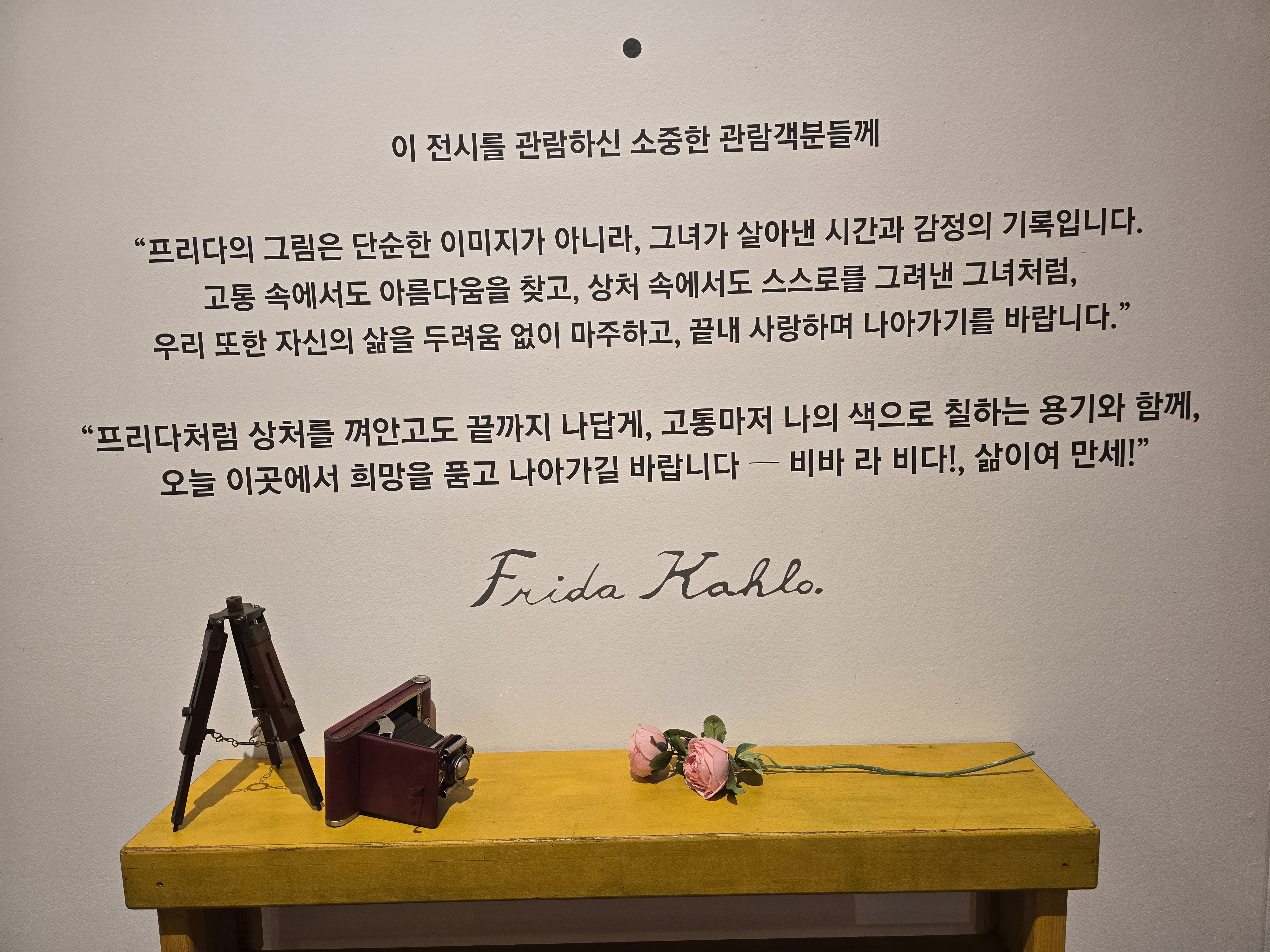 그럼에도 불구하고 비바 라 비다 썸네일