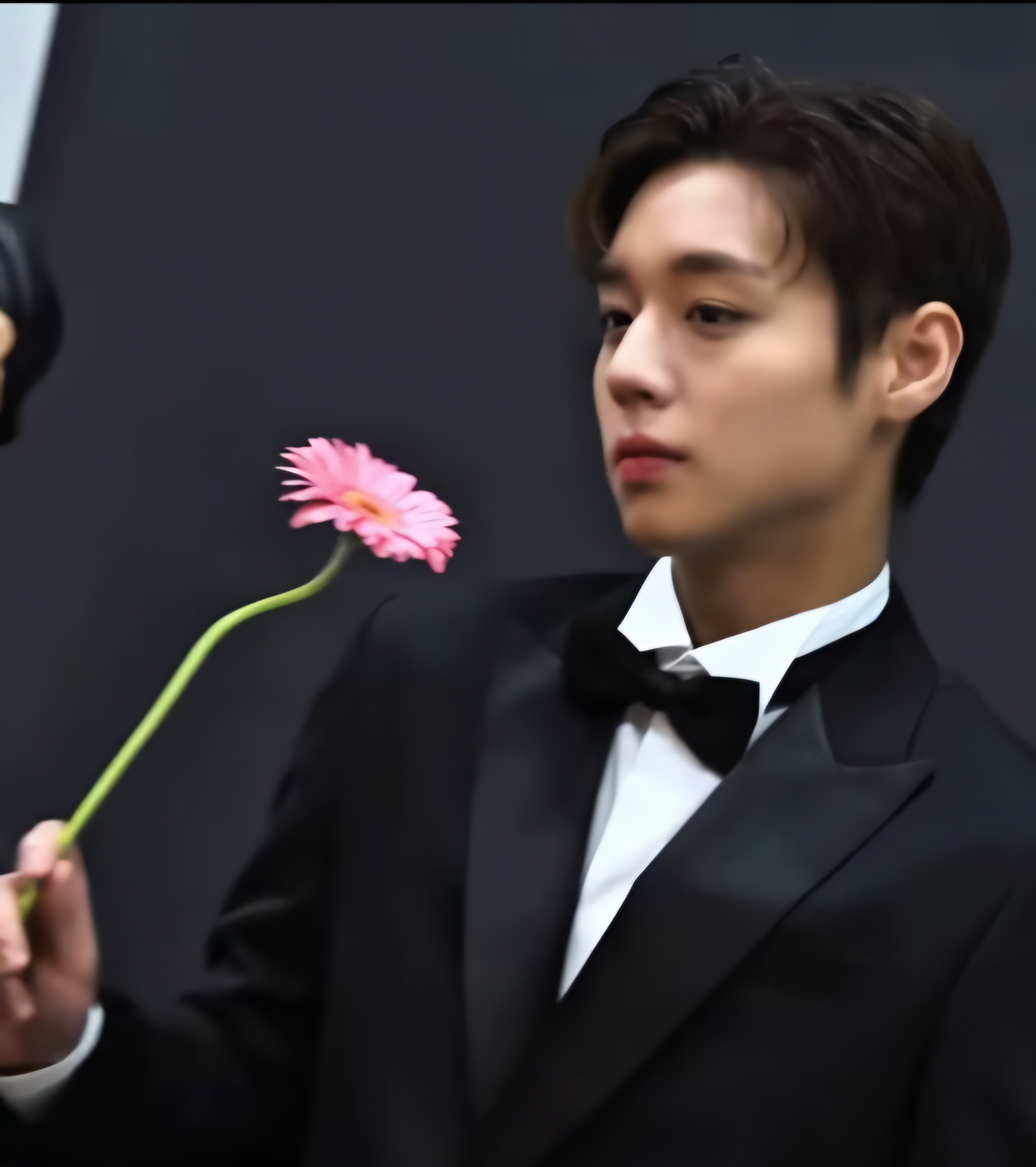 ​2026 부일영화상 올해의 스타상, 박지훈 배우의 수상을 열렬히 응원합니다! 썸네일