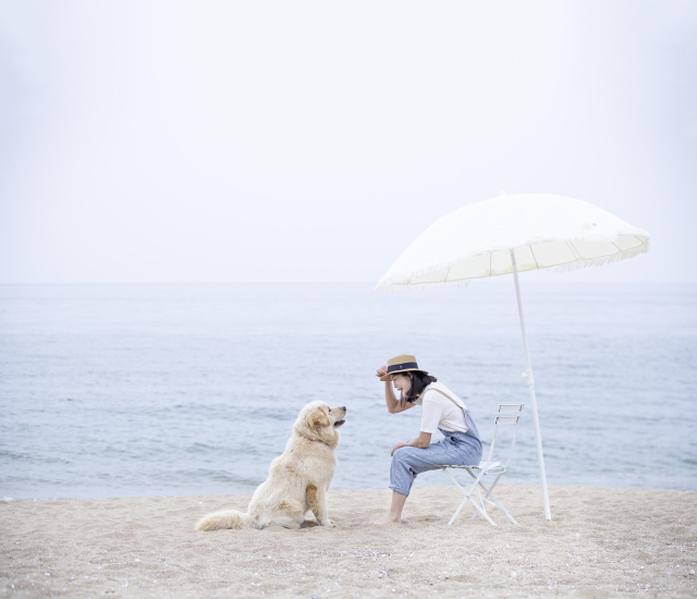 고양이 홀로 두고 바캉스, 2박 3일도 괜찮을까? 썸네일 이미지