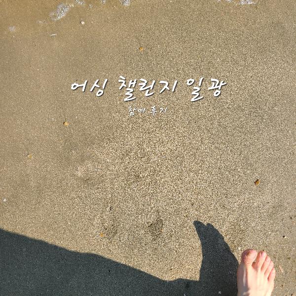 겨울 봄, 여름, 3번째 참여한 어싱챌린지 일광편 후기 썸네일 이미지