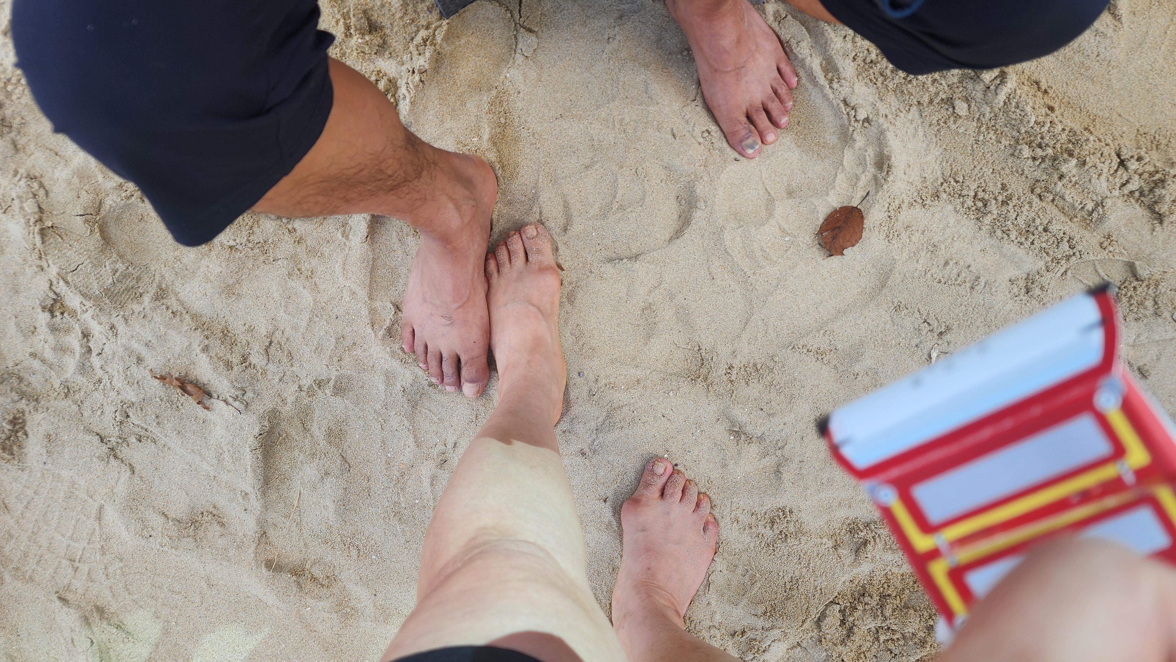 세븐비치송도편으로 7번모두 완주감동 썸네일 이미지