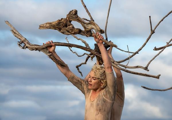 부산 초여름 수놓을 ‘몸의 언어’… 제22회 BIDF 개막 [2026 부산국제무용제] 썸네일 이미지