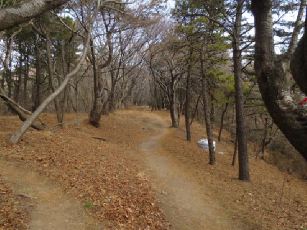 구봉산~엄광산 능선...동·서구 경계 타며 북·남항 바라봐 썸네일 이미지