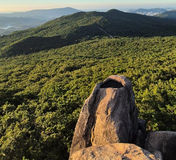 [특별기고]금샘은 3000배로도 친견 어렵다 썸네일 이미지