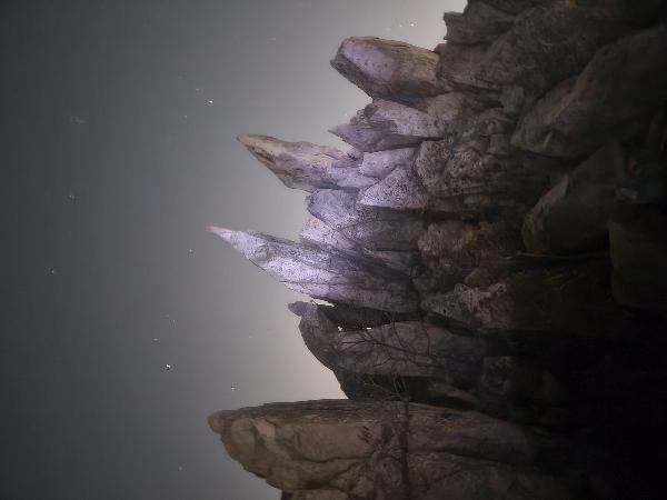 금정산 챌린지를 마치면서 썸네일 이미지