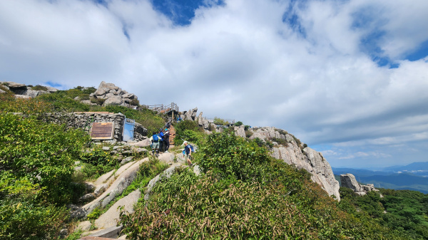 산성길 따라: 금정산 4대 성문 종주 썸네일 이미지