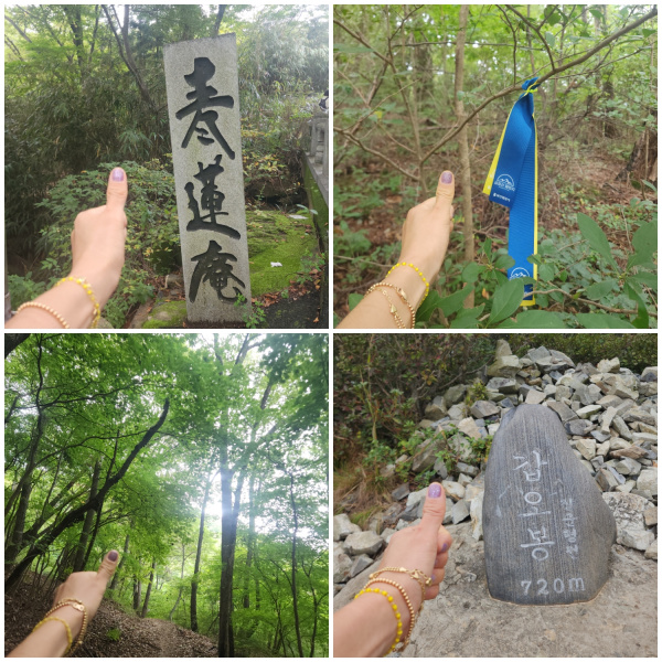 금정산 챌린지~ 두 번째 도전  갑오봉 ! 썸네일 이미지