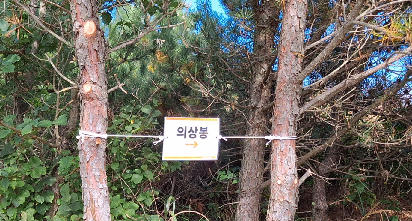 KakaoTalk_20261014_090747727_06.jpg