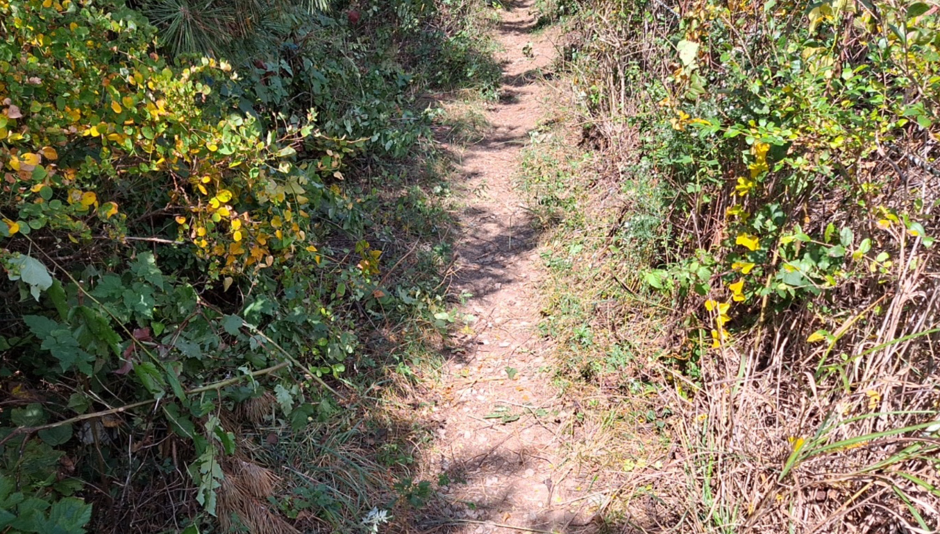 KakaoTalk_20261014_090747727_12.jpg